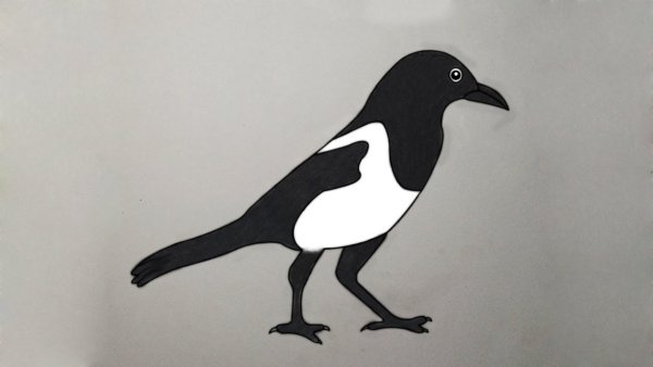 Рисование сороки