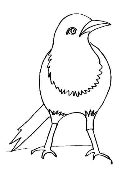 Рисунок сороки для раскрашивания