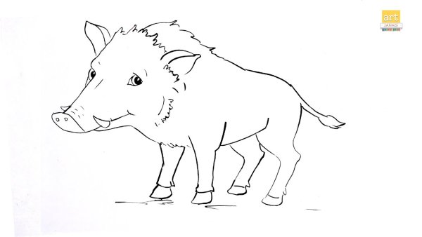 Кабан детский рисунок