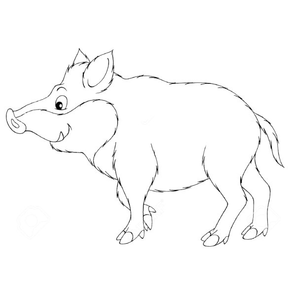 Кабан контур