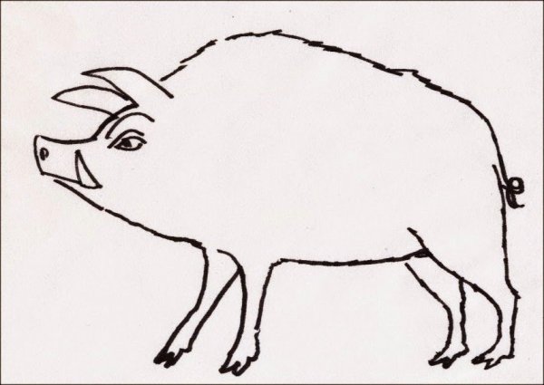 Раскраска свинья