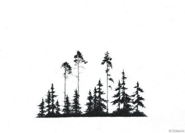 Лес силуэт эскиз