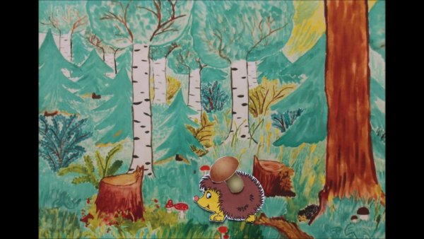 Смешанные и широколиственные леса растения