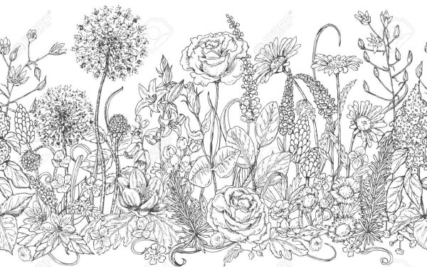 Луговые травы Графика