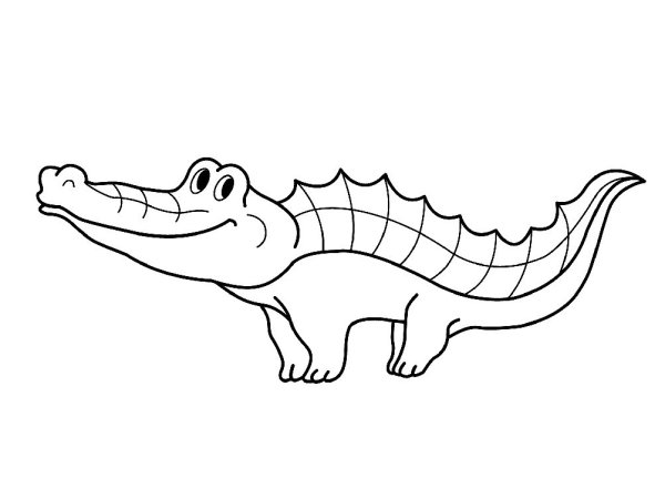 Крокодил набросок
