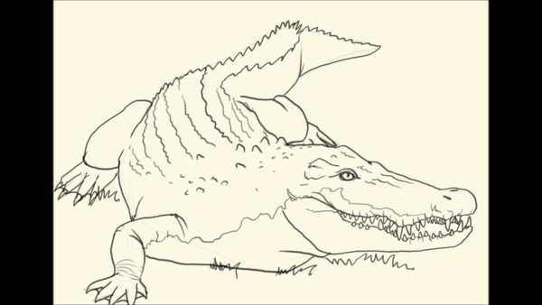 Крокодил карандашом