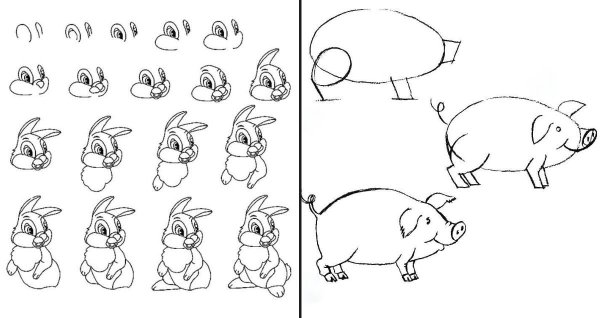 Схема рисования зайца для детей старшей группы