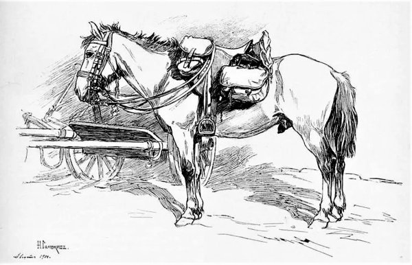 Казак карандашом