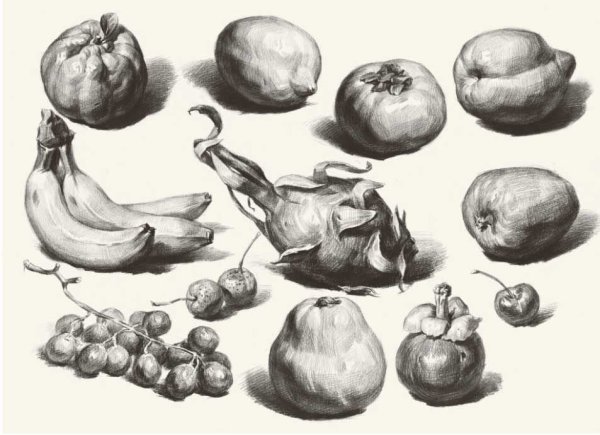 Фрукты карандашом