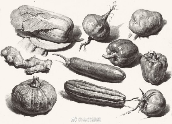 Зарисовки овощей