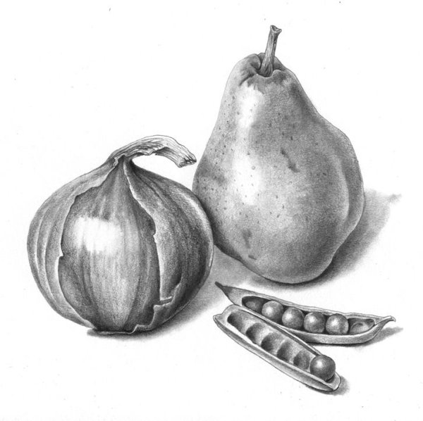 Дары осени раскраски для детей