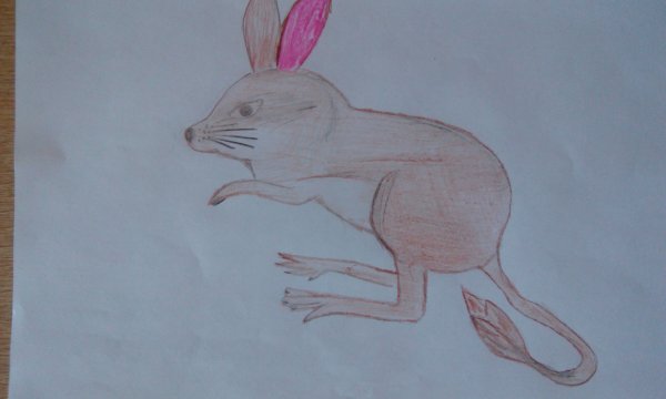 Большой тушканчик