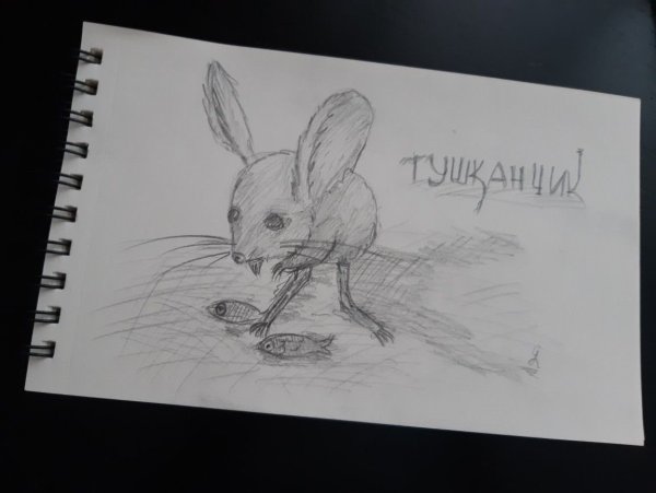 Как нарисовать тушканчика поэтапно