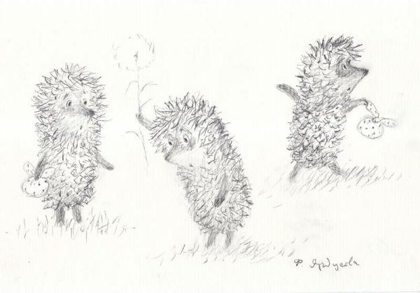 Ежик карандашом с цветами