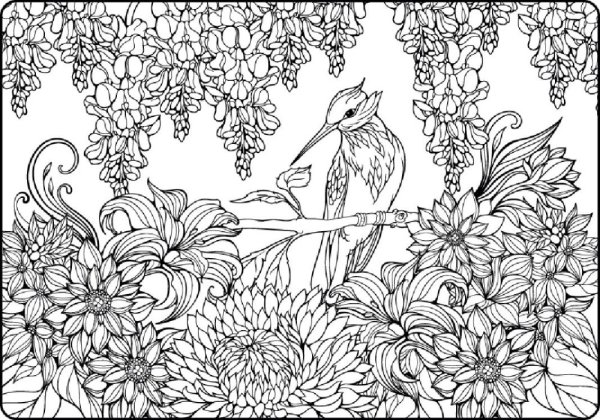 Райский сад раскраска для детей