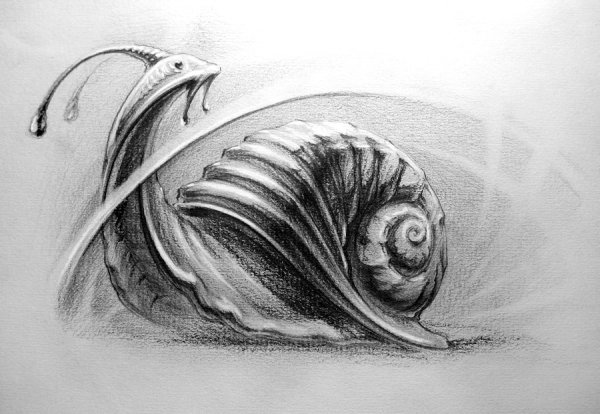 Тату улитка эскизы