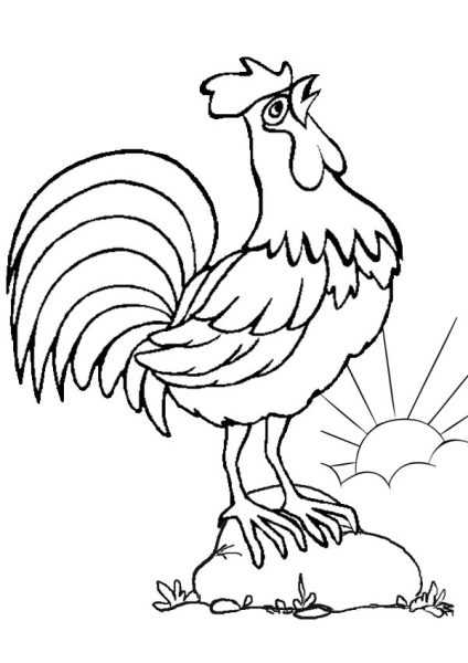 Петух раскраска