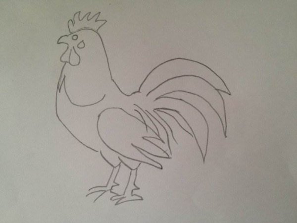 Петух карандашом
