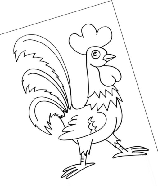 Рисунок золотого петушка в профиль