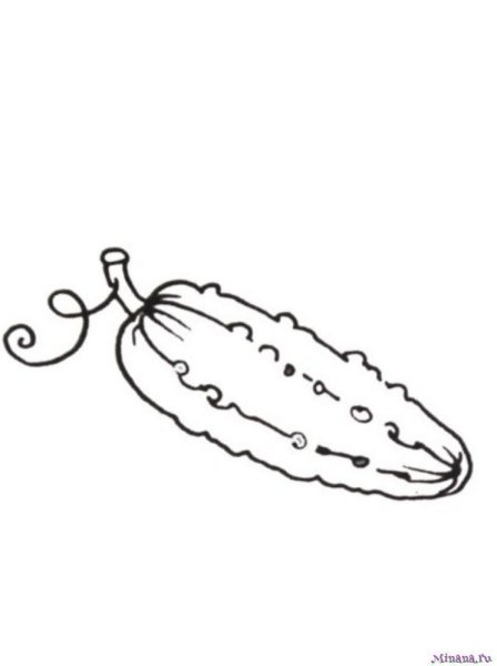 Огурец раскраска