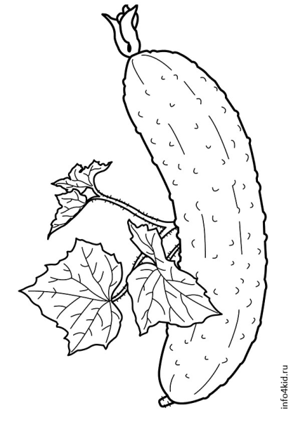 Контур огурца для раскрашивания
