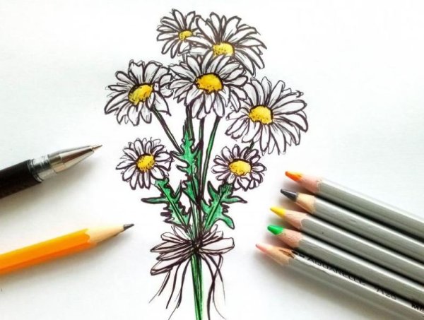 Букет цветов цветными карандашами для детей