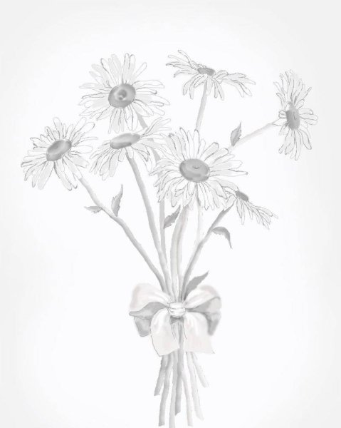 Букет ромашек карандашом