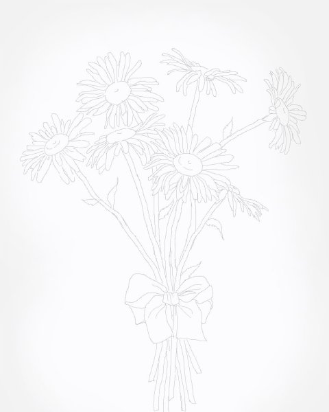 Букет ромашек карандашом