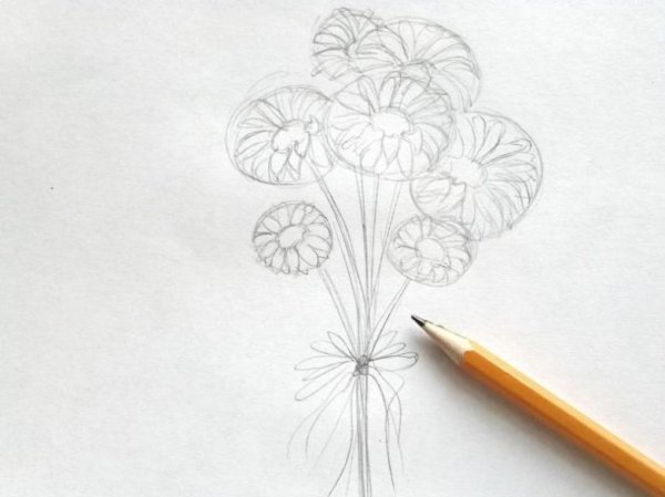 Зарисовка ромашки карандашом