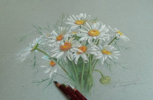 Букет ромашек для срисовки