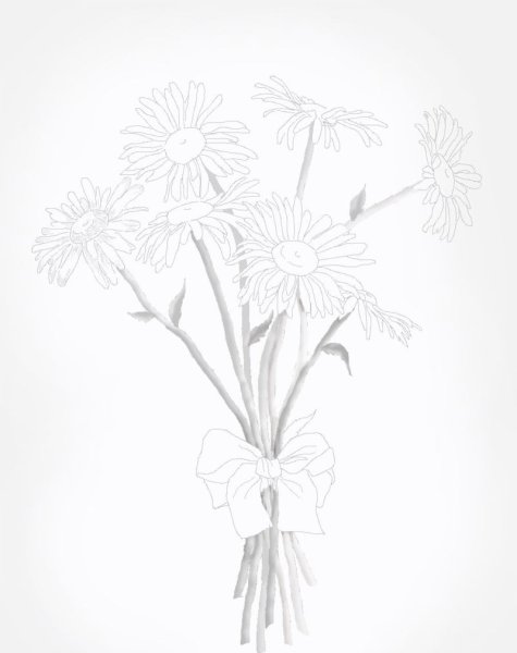 Рисунок ромашки карандашом для срисовки