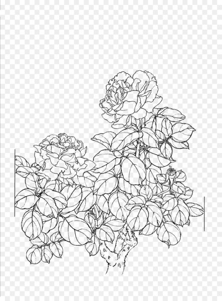 Роза раскраска для детей