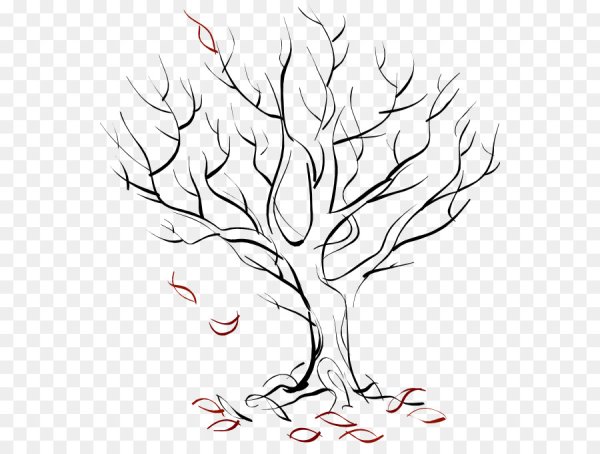 Осеннее дерево карандашом