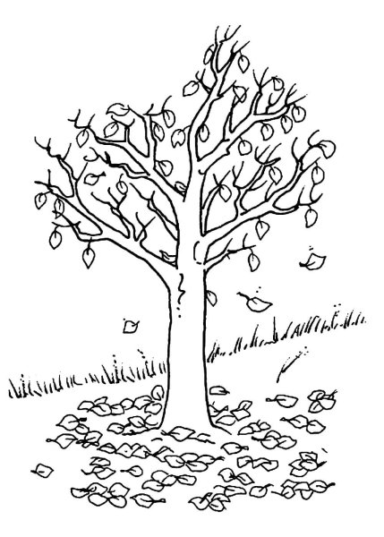 Осеннее дерево раскраска для детей
