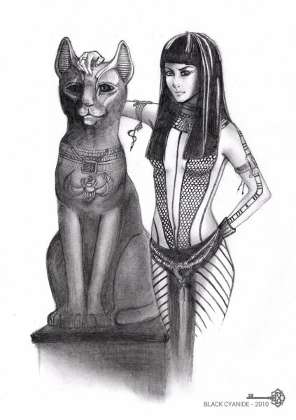 Египетская кошка раскраска