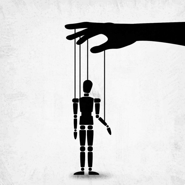 Зарисовки органов