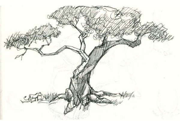 Дерево рисунок карандашом
