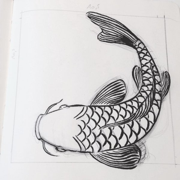 Рисование карпа