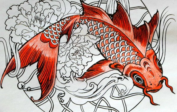 Карп карандашом