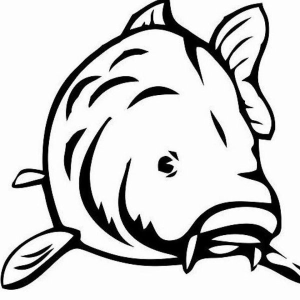 Карп раскраска для детей