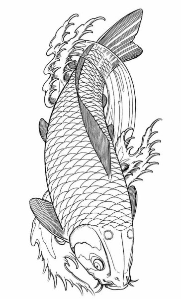 Рыба скетч