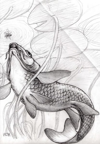 Карп для выжигания