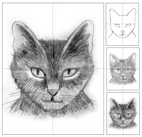 Рисунок кошки поэтапно