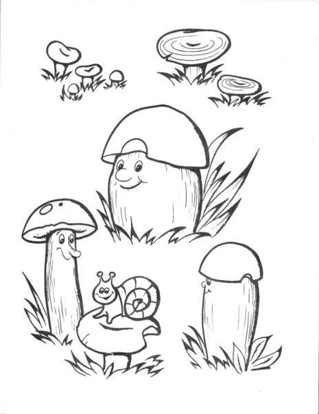 Грибы карандашом