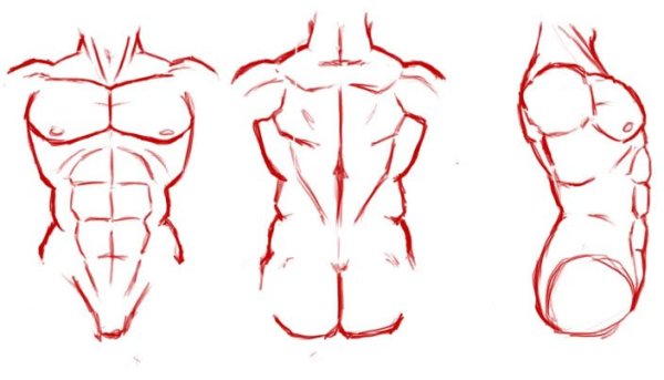 Туториал торс сбоку
