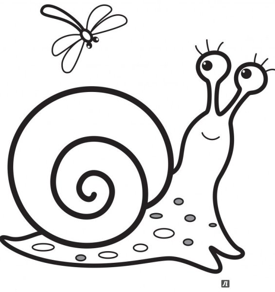 Улитка цветными карандашами