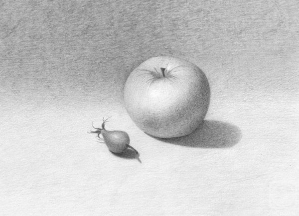 Натюрморт с тенью карандашом