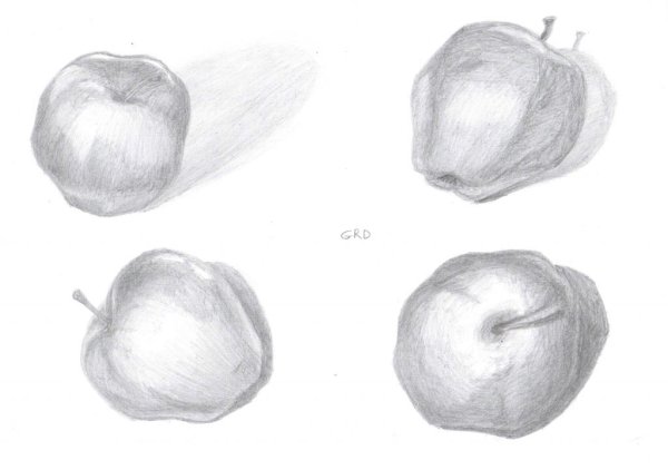 Фрукты карандашом для начинающих