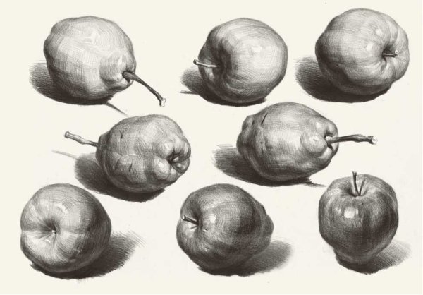 Зарисовки овощей и фруктов