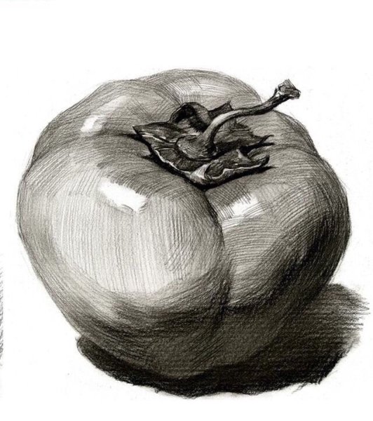 Фрукты карандашом